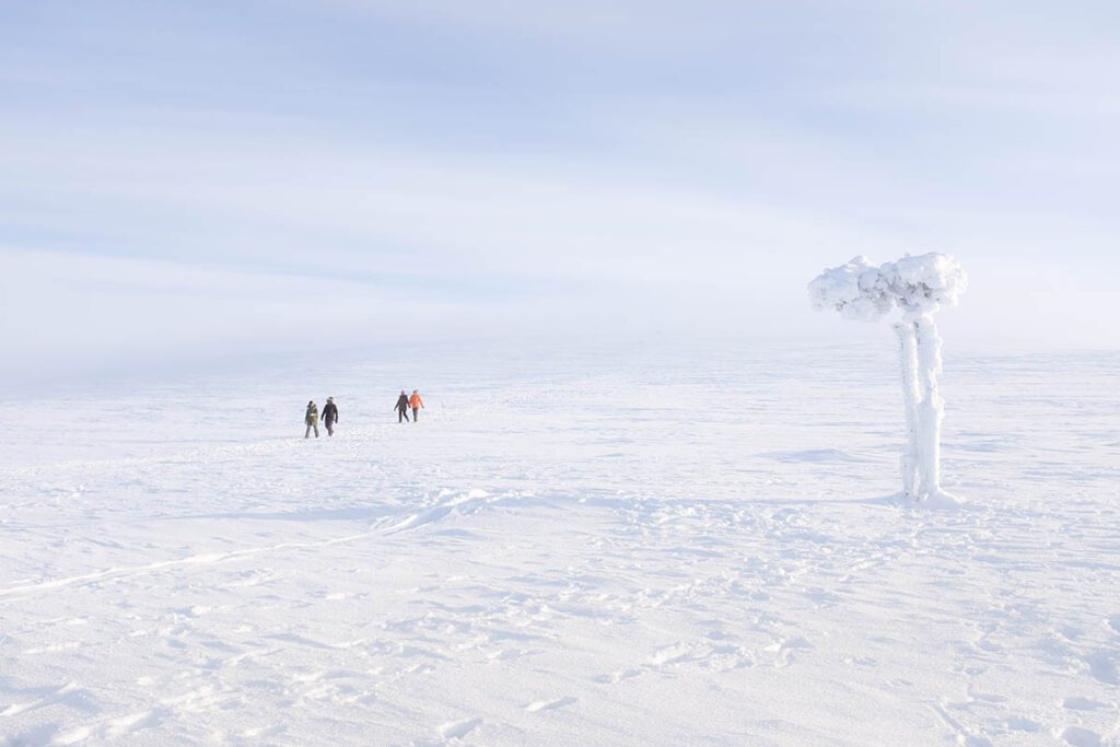 Urho Kekkonen National Park Lapland - Fell Centre Kiilopää in Saariselkä; fijne cabins boven de poolcirkel - Reislegende.nl