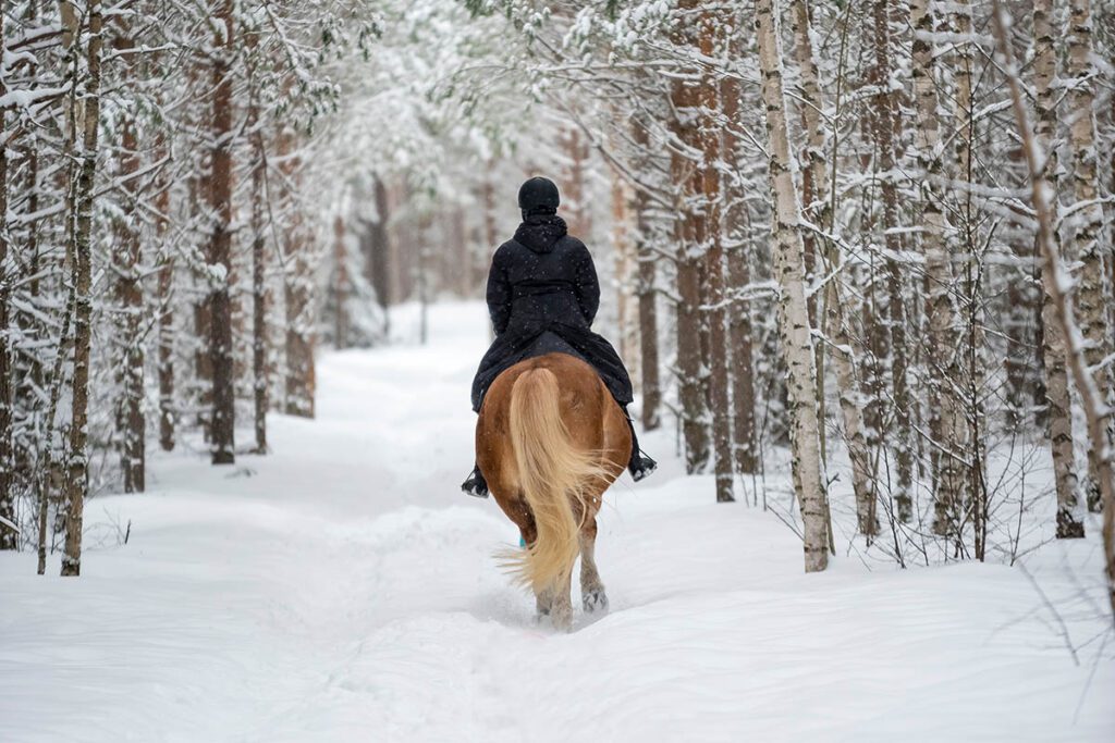 Paardrijden in Lapland Finland - 25x wat te doen in Lapland - Reislegende.nl