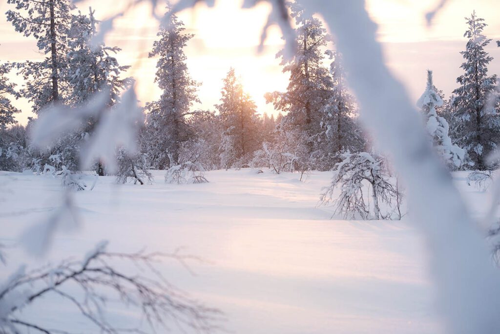 Zonsondergang Urho Kekkonen National Park Lapland - Fell Centre Kiilopää in Saariselkä; fijne cabins boven de poolcirkel - Reislegende.nl