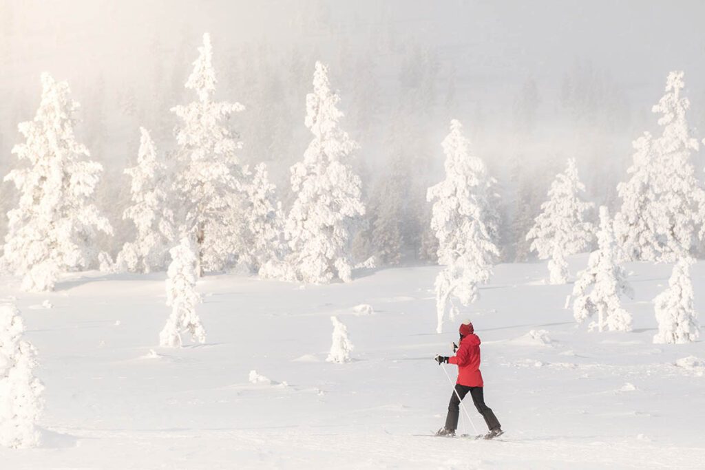 Langlaufen in Finland - 25x wat te doen in Lapland - Reislegende.nl