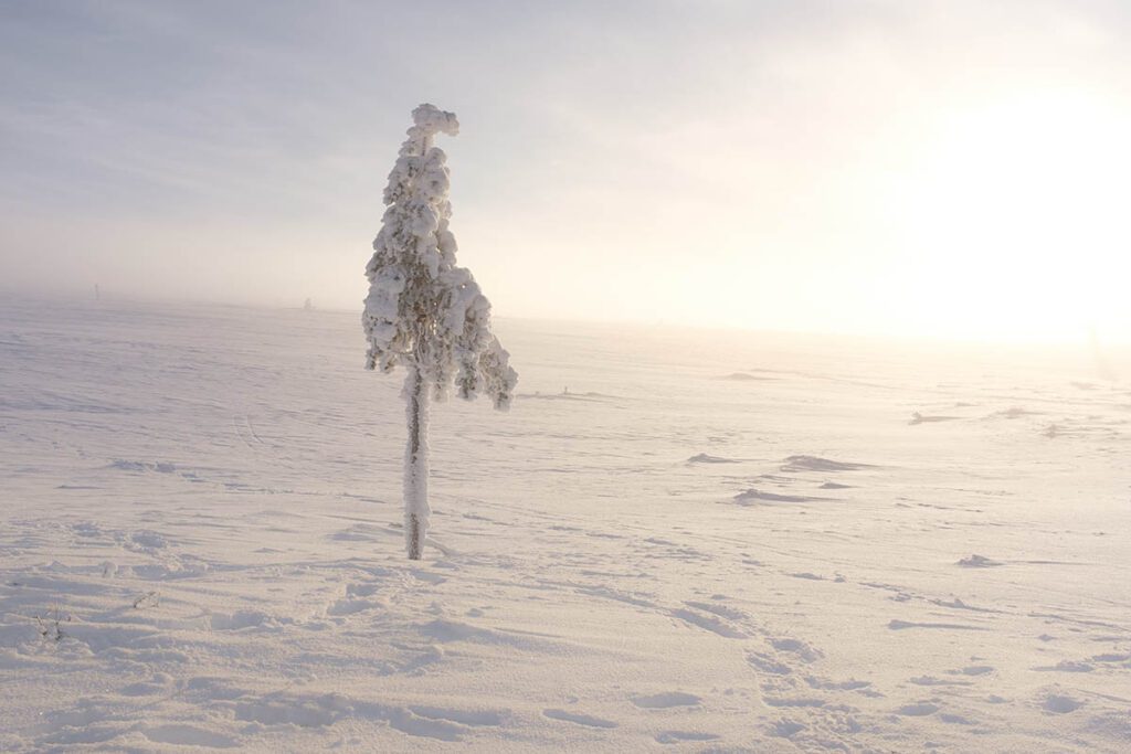 Kiilopää fell - Wat te doen vanuit Fell Centre Kiilopää in Saariselkä - Reislegende.nl