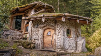 La Maison du Hobbit La Clairiere aux Cabanes La Bresse Grand Est Vogezen - Reislegende.nl