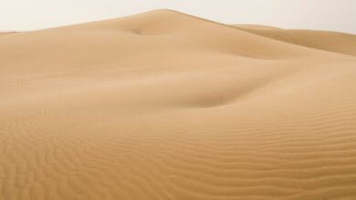 Duinen van Maspalomas Gran Canaria - Reislegende.nl