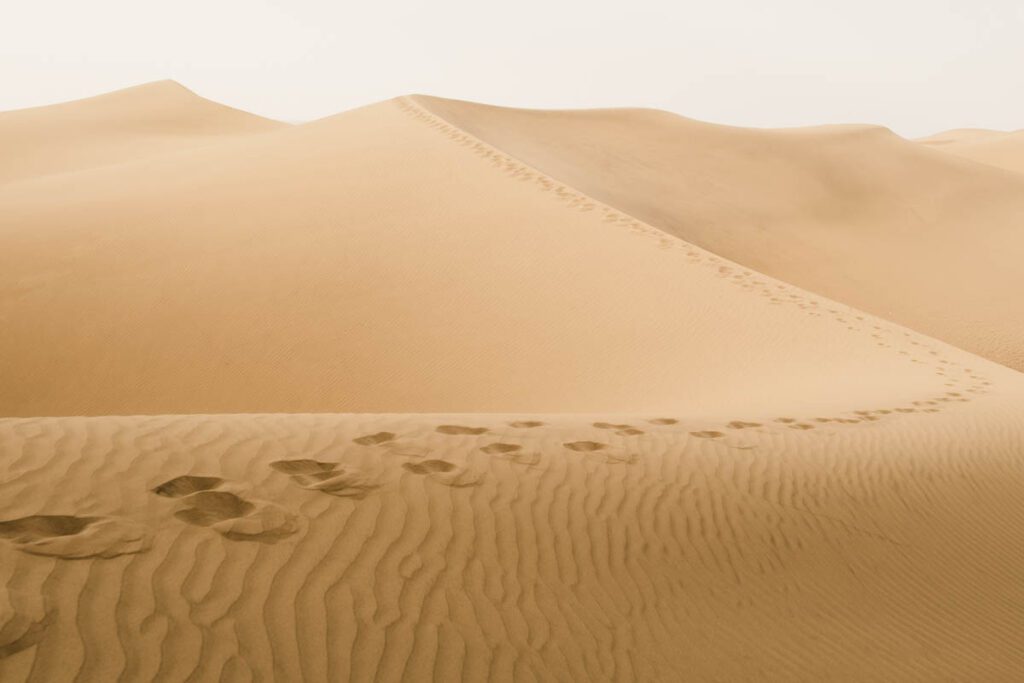 Dunas de Maspalomas duinen van Gran Canaria - Reislegende.nl