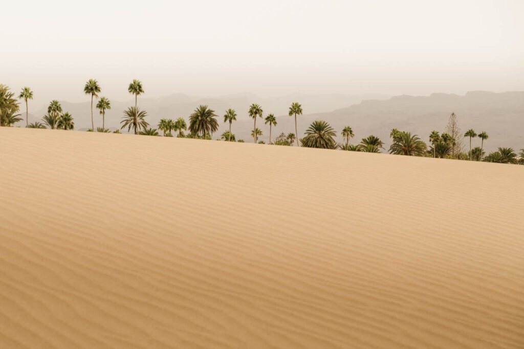 Maspalomas duinen in zuiden van Gran Canaria - Reislegende.nl