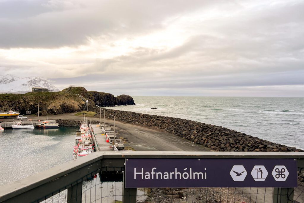 Papegaaiduikers spotten in Borgarfjörður Eystri, Oost-IJsland - Reislegende.nl