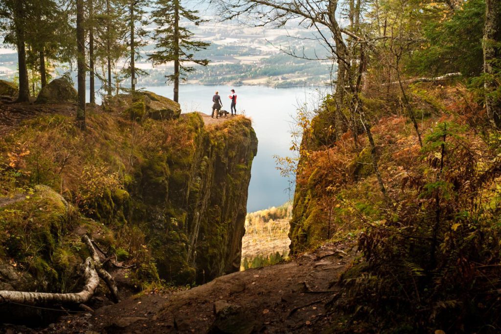 Wandelen in Mørkgonga Naturreservat, wat te doen in Viken wat te zien Noorwegen - Reislegende.nl