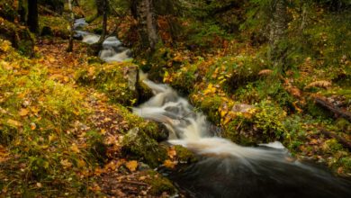 Tips voor lange sluitertijd fotografie zonder statief - Reislegende.nl