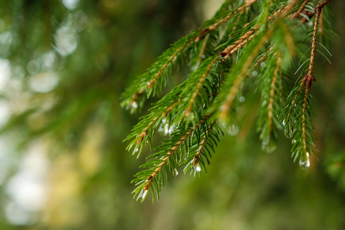 Herfst in Noorwegen tips voor wandelen - Reislegende.nl