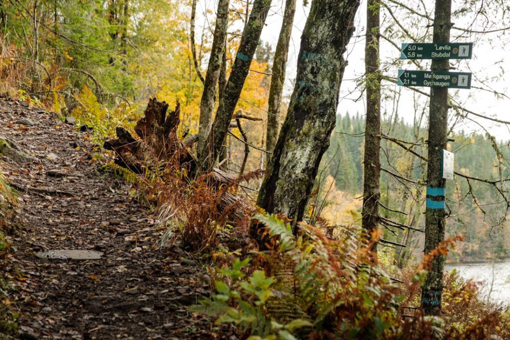 Hike Morkgonga wandeling route aanduiding wandelen in Zuid-Noorwegen - Reislegende.nl