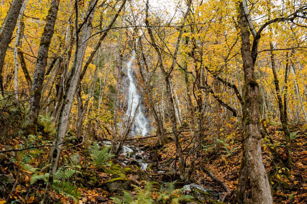 Morkgonga Naturreservat watervallen Zuid-Noorwegen - Reislegende.nl