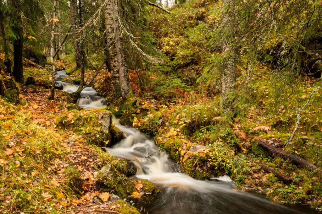 Morkgonga wandeling Zuid-Noorwegen watervallen - Reislegende.nl