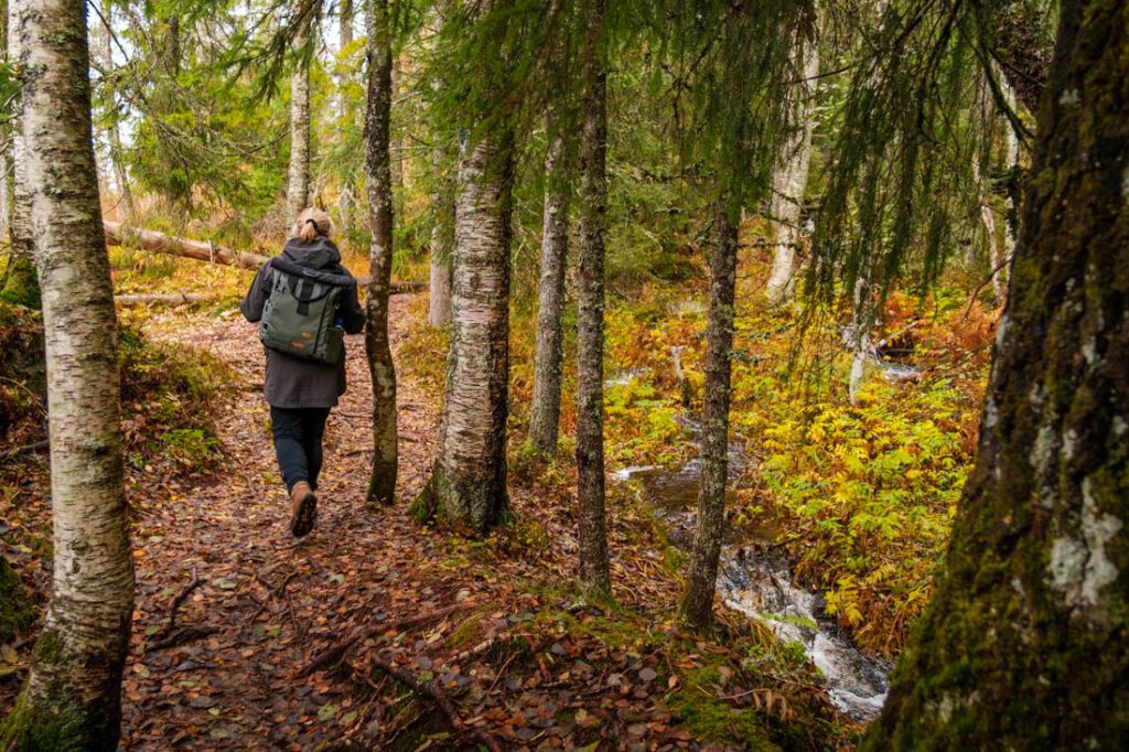 Morkgonga wandeling in Viken Zuid-Noorwegen - Reislegende.nl