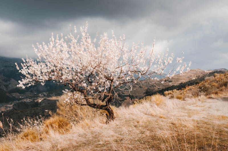 Winter rondreis Andalusië 14 dagen, route en tips - Reislegende.nl