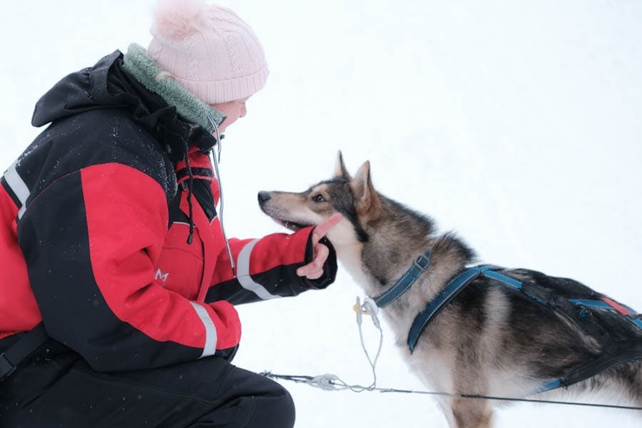 Wat meenemen naar Lapland paklijst en tips - Reislegende.nl