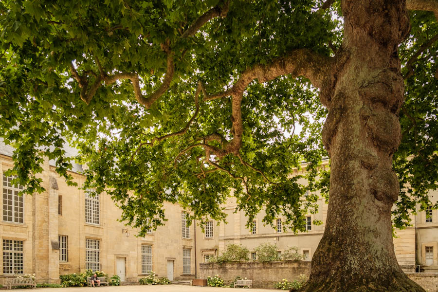 Bayeux Normandie mooie stadjes en plaatsjes in Normandie - Reislegende.nl