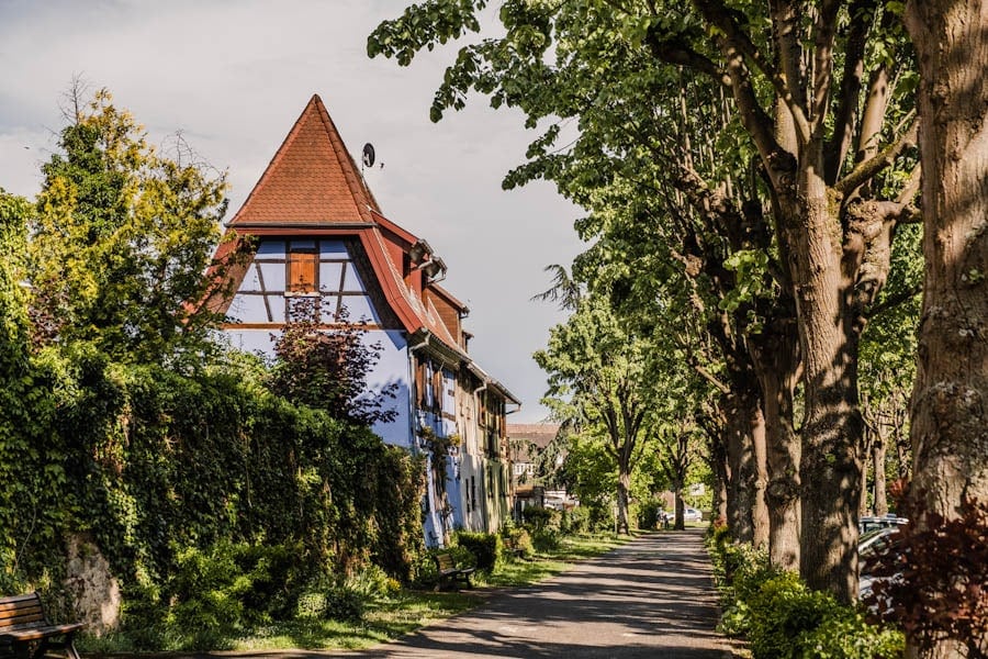 Elzas kleurrijke vakwerkhuizen in Kaysersberg bezienswaardigheden en tips - Reislegende.nl