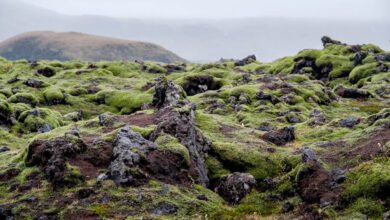I’ll Show You, Justin Bieber filmlocaties in IJsland - Reislegende.nl