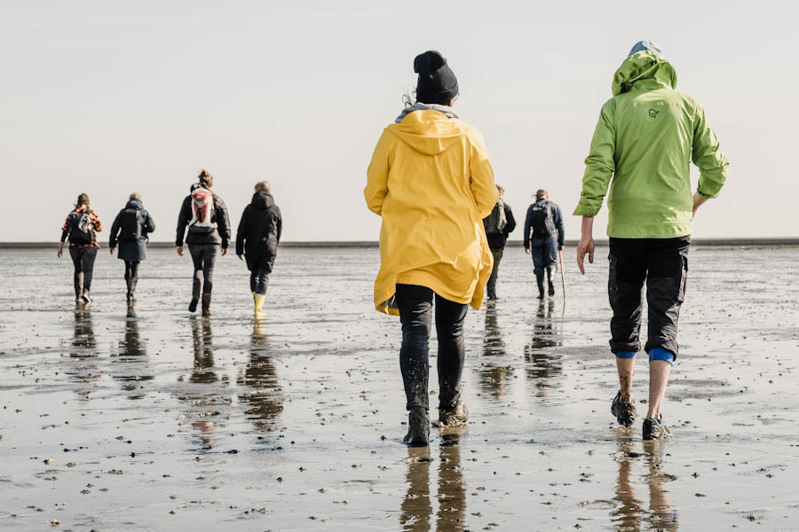 Dagje naar de Friese Waddenkust wadlopen vanuit Moddergat - Reislegende.nl