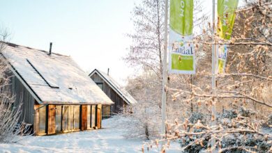 Landal Aelderholt, foto’s van een winters verblijf - Reislegende.nl