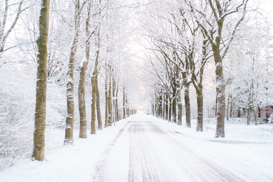 Sneeuw in Landal Aelderholt foto’s - Reislegende.nl