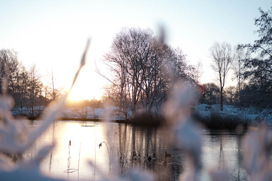 Sneeuw in Landal Aelderholt foto’s - Reislegende.nl