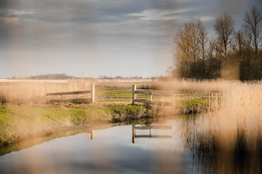 Nationaal Park Lauwersmeer Friesland - Reislegende.nl