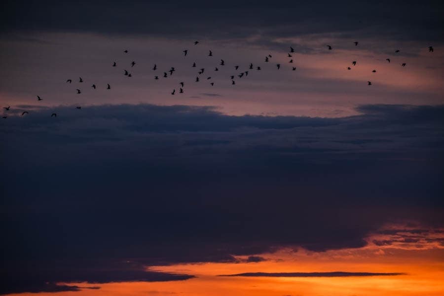 Nationaal Park Lauwersmeer Reiddomp uitkijktoren zonsopkomst - Reislegende.nl