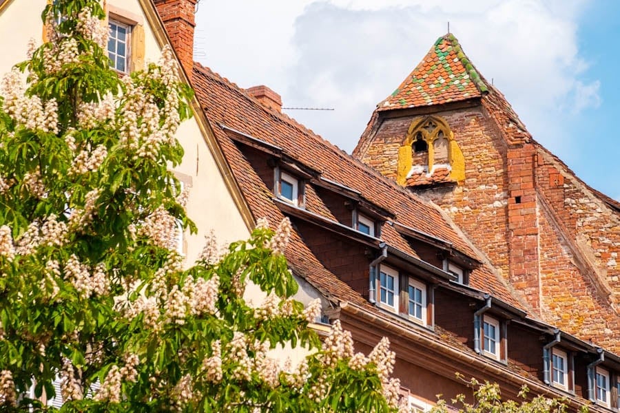 Stadswandeling door Vieille ville Colmar, bezienswaardigheden en tips Elzas Frankrijk - Reislegende.nl