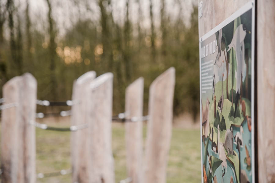 Wandelen in nationaal park Lauwersmeer Waswadpad - Reislegende.nl