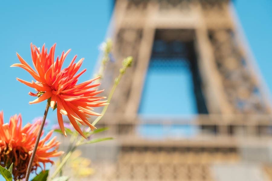 Eiffeltoren fotograferen tips voor fotograferen met bloemen op de voorgrond - Reislegende.nl