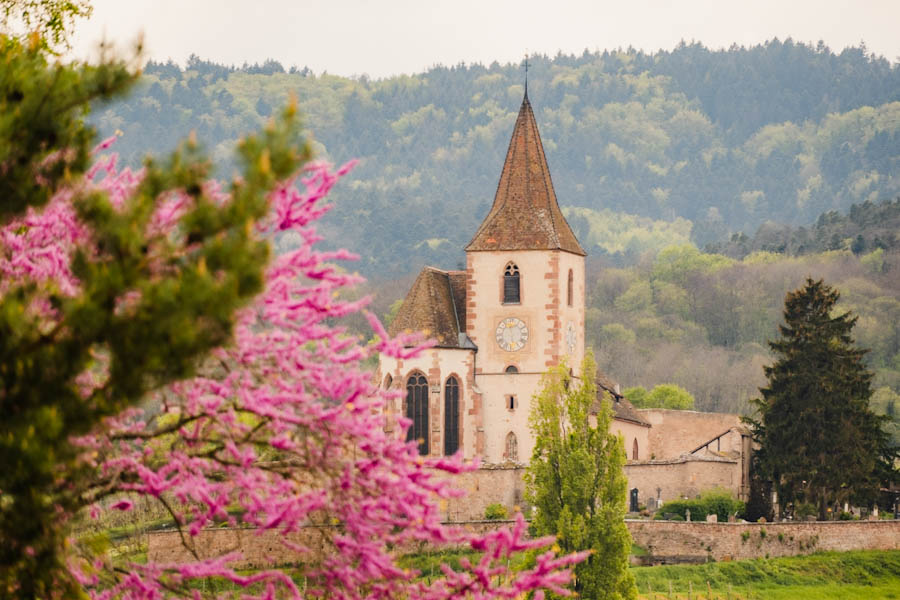 Hunawihr Les Plus Beaux Villages de France mooiste dorpen Frankrijk - Reislegende.nl