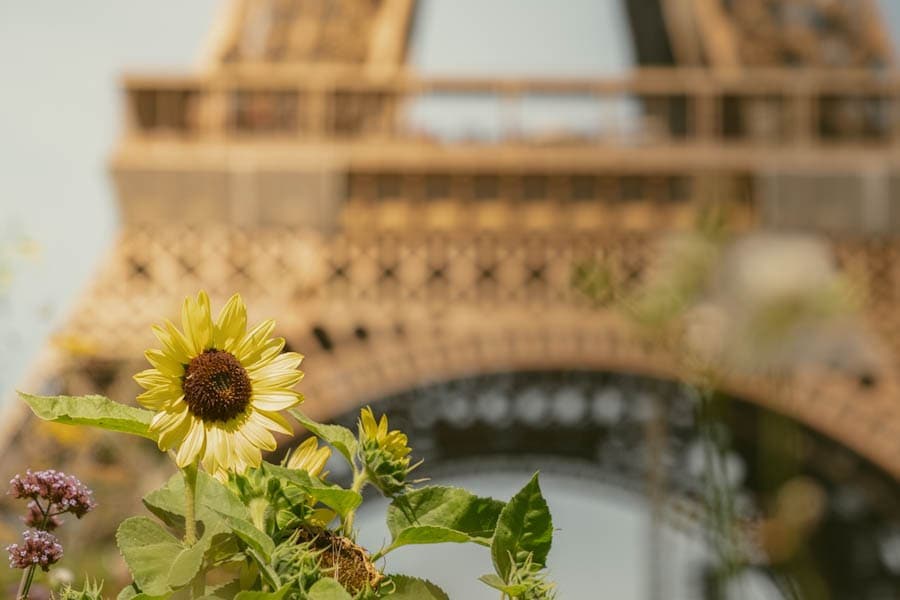 Parijs Eiffeltoren fotograferen met bloemen op de voorgrond waar doe je dat? - Reislegende.nl