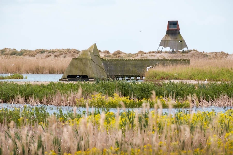 Steltloper en Duikeend vogelkijkhutten op Marker Wadden - Reislegende.nl