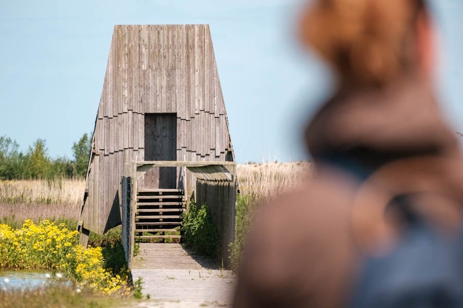 Vogelkijkhut de Lepelaar Marker Wadden - Reislegende.nl