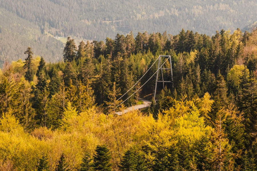 Bad Wildbad Baumwipfelpfad Schwarzwald Duitsland Zwarte Woud - Reislegende.nl