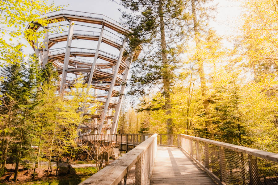 Baumwipfelpfad Bad Wildbad Schwarzwald Bad Wildbad Duitsland Zwarte Woud - Reislegende.nl