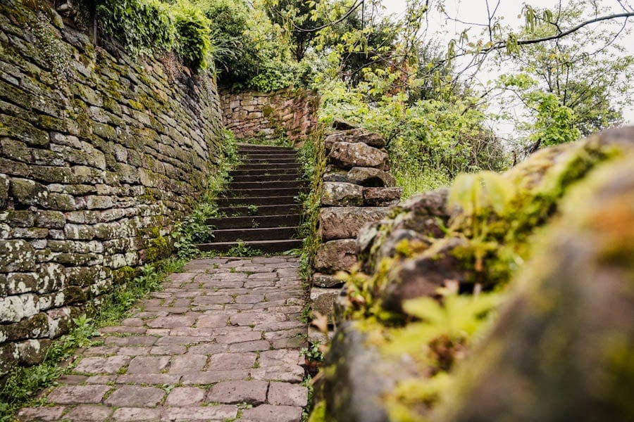 Heidelberg Schlangenweg route Duitsland - Reislegende.nl