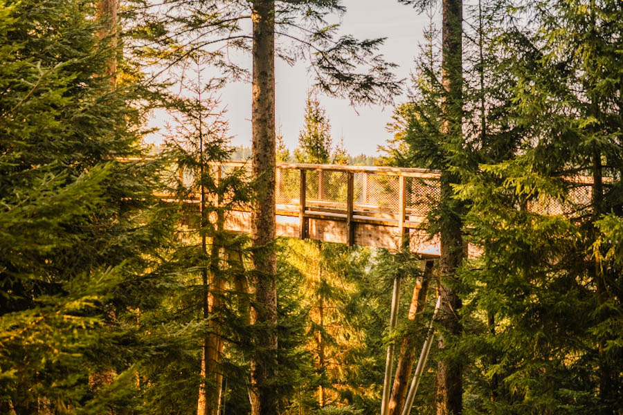 Baumwipfelpfad Schwarzwald Bad Wildbad Duitsland Zwarte Woud - Reislegende.nl