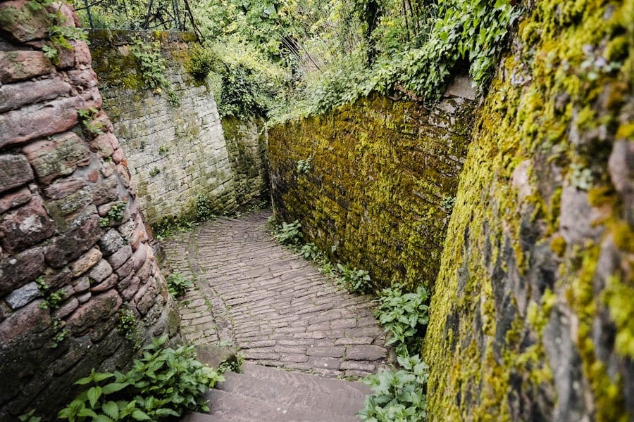 Wandelen over de Schlangenweg in Heidelberg Duitsland - Reislegende.nl