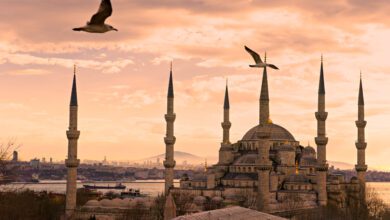 Istanbul bezoeken; tips and tricks - Reislegende.nl