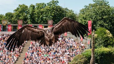 Laat je betoveren door de spectaculaire shows in Puy du Fou - Reislegende.nl