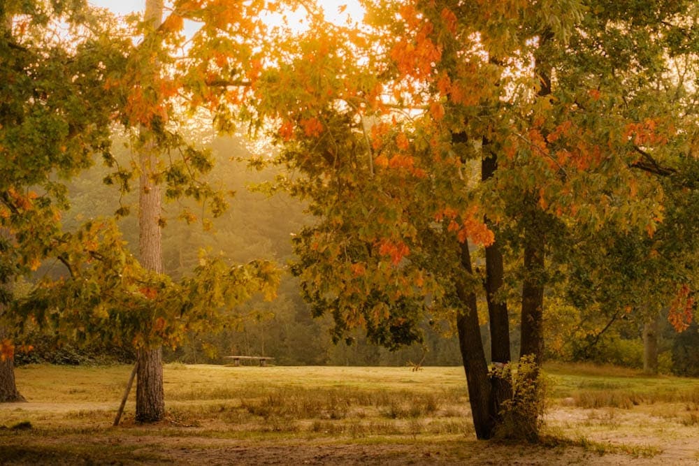 Herfst in Drenthe activiteiten in het najaar - Reislegende.nl