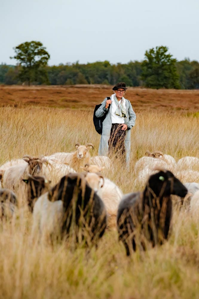 Herfst in Drenthe activiteiten in het najaar herders van Balloo - Reislegende.nl