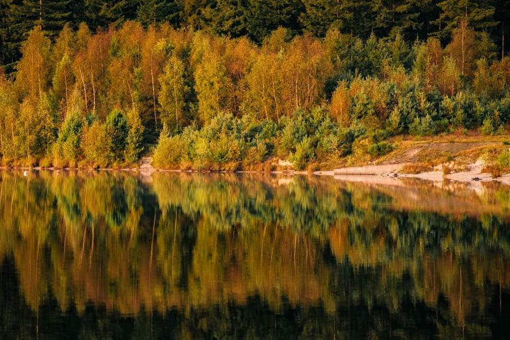 Herfst in Drenthe mooie plaatsen Gasselterveld - Reislegende.nl