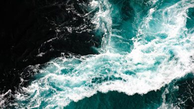 Saltstraumen getijdentabel Bodo Noorwegen - Reislegende.nl