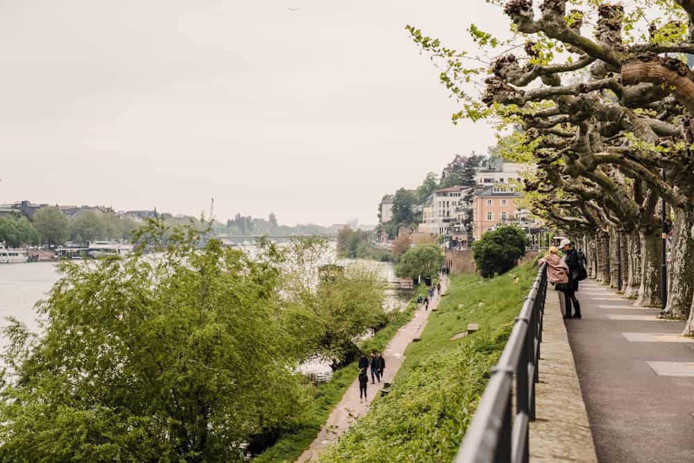 Neckar rivier Heidelberg Altstadt Duitsland - Reislegende.nl