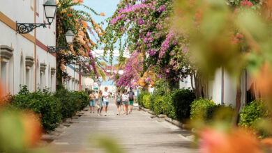 Puerto de Mogan straten met bloesem Gran Canaria tips - Reislegende.nl