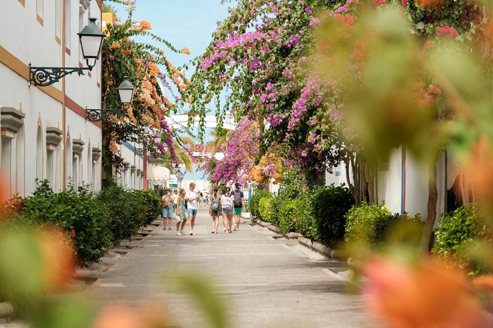 Puerto de Mogan straten met bloesem Gran Canaria tips - Reislegende.nl
