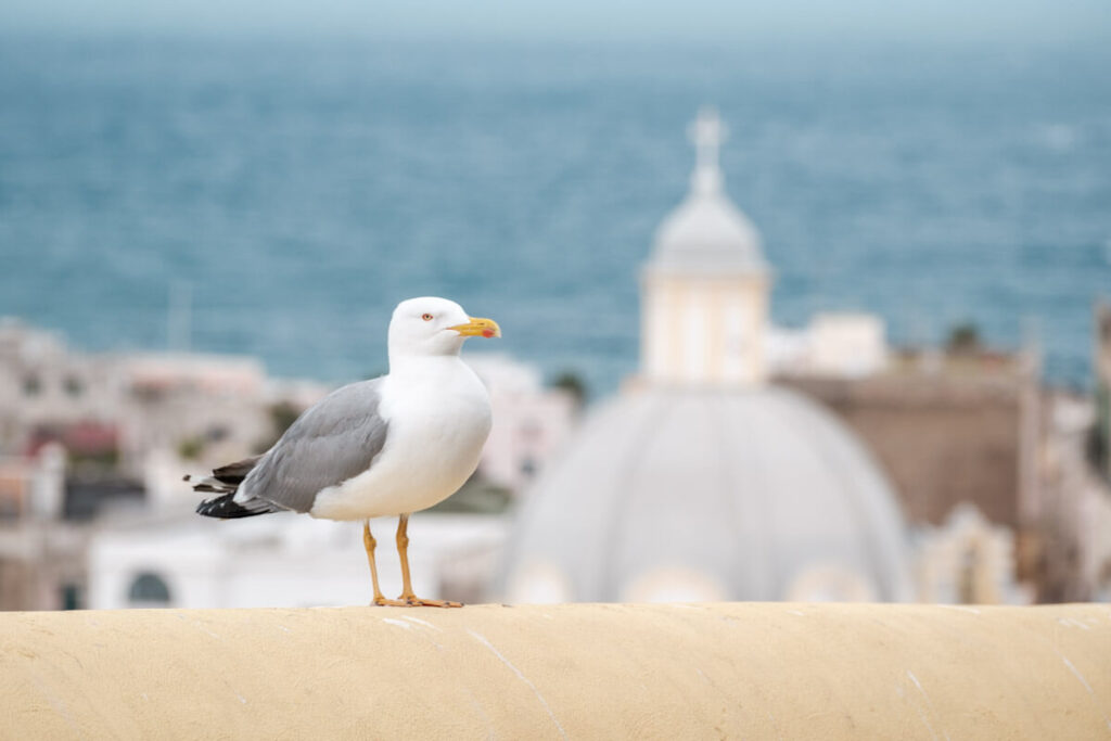 Bezienswaardigheden Procida cultuurstad 2022 - Reislegende.nl